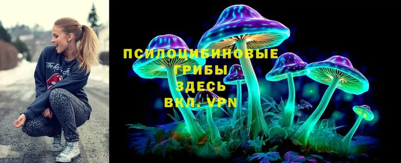 Псилоцибиновые грибы Magic Shrooms  где продают наркотики  Лихославль 